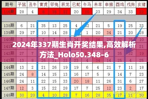 2024年337期生肖开奖结果,高效解析方法_Holo50.348-6