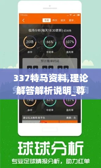 337特马资料,理论解答解析说明_尊贵款75.744-3