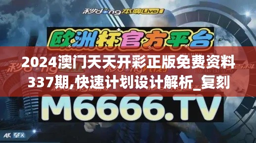 2024澳门天天开彩正版免费资料337期,快速计划设计解析_复刻款98.907-4