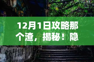 揭秘小巷深处的独特小店，12月1日攻略那个渣