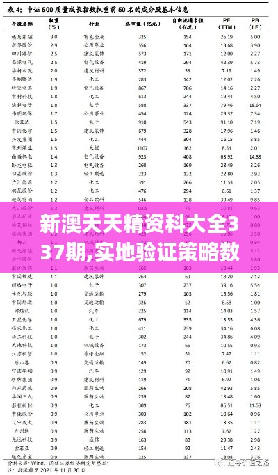 新澳天天精资科大全337期,实地验证策略数据_XP18.905-7