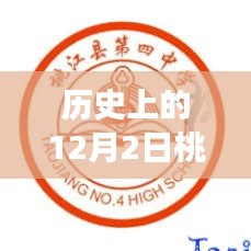 桃江新闻之光，塑造自信的明天，学习变化的力量，回顾历史上的最新新闻动态