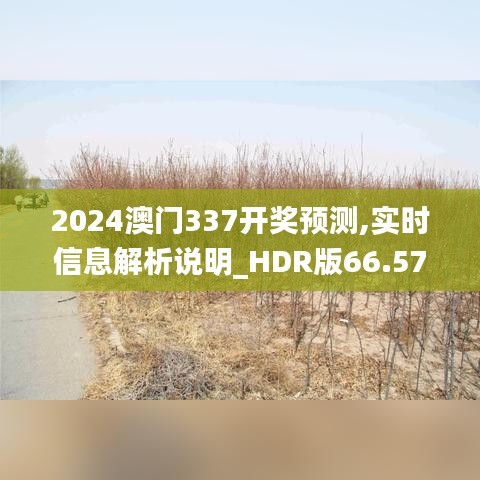 2024澳门337开奖预测,实时信息解析说明_HDR版66.573-6