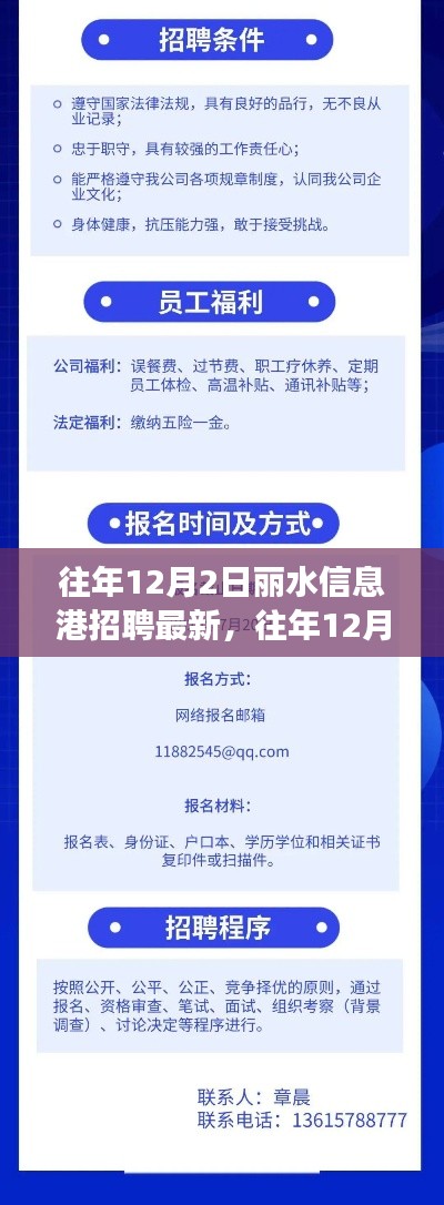 往年12月2日丽水信息港招聘最新动态，掌握职场脉搏，发掘优质岗位