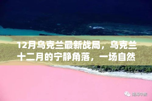 乌克兰十二月的宁静角落，自然美景下的心灵之旅与最新战局解析