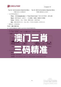 澳门三肖三码精准100%黄大仙337期,实地解析说明_Plus18.659-9