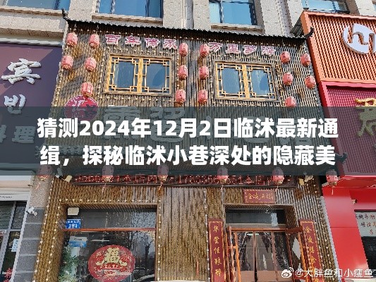 临沭美食探秘，隐藏小巷深处的特色美食与通缉小店之旅（2024年12月版）