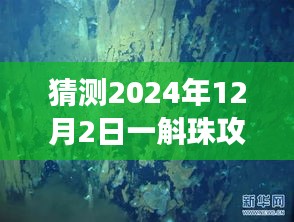 揭秘一斛珠，2024年12月2日必游小巷特色小店攻略