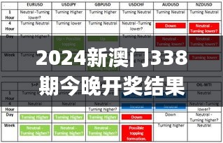 2024新澳门338期今晚开奖结果,灵活操作方案设计_投资版49.136-9