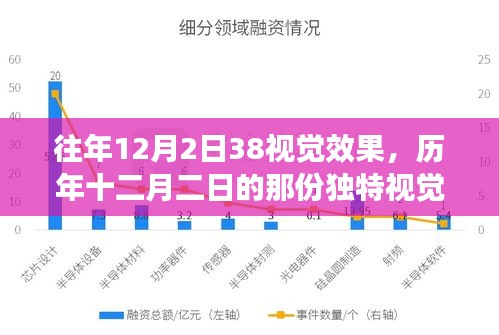 历年十二月二日独特视觉下的温馨日常回顾与赏析