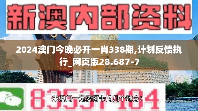 2024澳门今晚必开一肖338期,计划反馈执行_网页版28.687-7