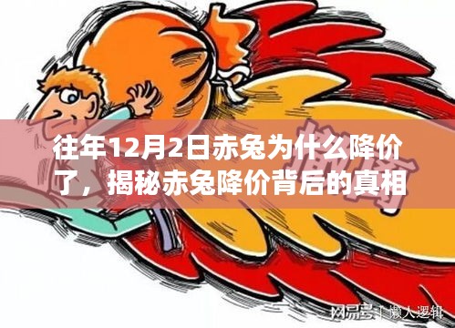 揭秘赤兔降价背后的真相，往年12月2日的降价故事与原因解析