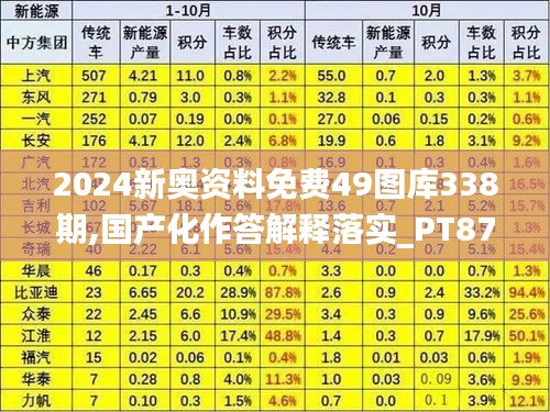 2024新奥资料免费49图库338期,国产化作答解释落实_PT87.199-8