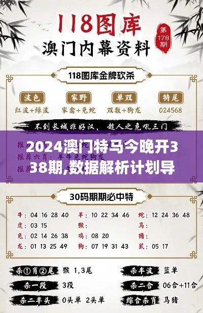 2024澳门特马今晚开338期,数据解析计划导向_专业款179.881-2