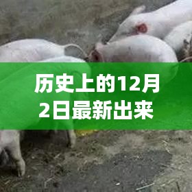 历史上的12月2日，探索最新疾病知识，提升健康防护技能