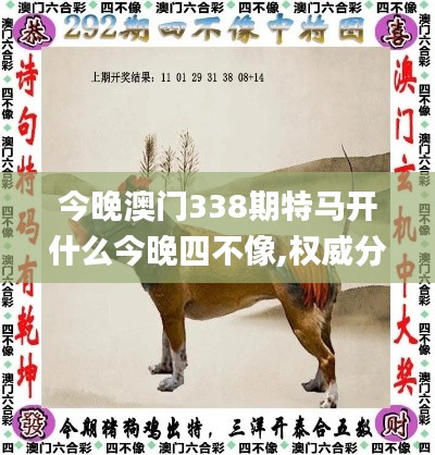 今晚澳门338期特马开什么今晚四不像,权威分析说明_Prestige5.210-3