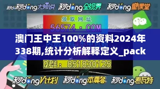 澳门王中王100%的资料2024年338期,统计分析解释定义_pack158.565-9