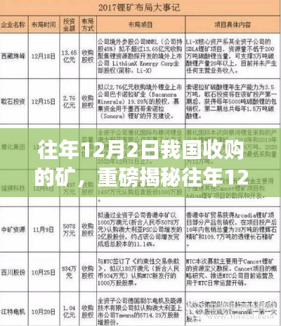 揭秘，中国矿藏收购背后的秘密——往年12月2日大手笔收购矿藏真相揭晓！