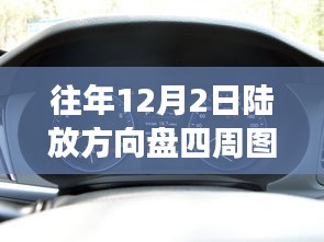 多维度视角下的陆放方向盘四周图观点碰撞与解析