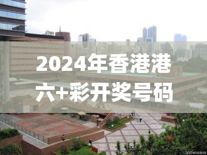 2024年香港港六+彩开奖号码339期,高效说明解析_桌面款86.508-2