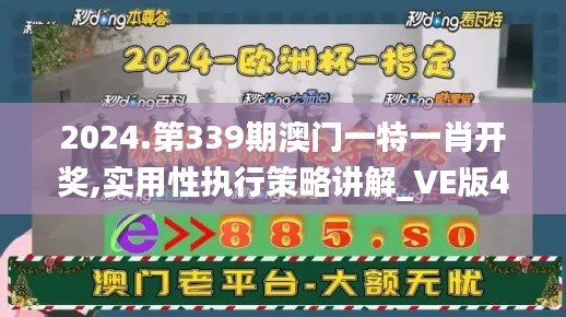 2024.第339期澳门一特一肖开奖,实用性执行策略讲解_VE版4.908-9