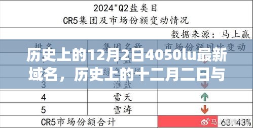 历史上的十二月二日与最新域名变迁深度解析及观点阐述