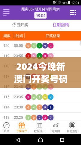 2024今晚新澳门开奖号码339期,实地数据评估方案_iPad61.355-4