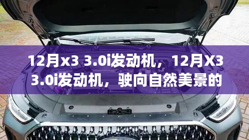 12月X3 3.0i发动机，静谧之旅，探索自然美景的驾驶之旅