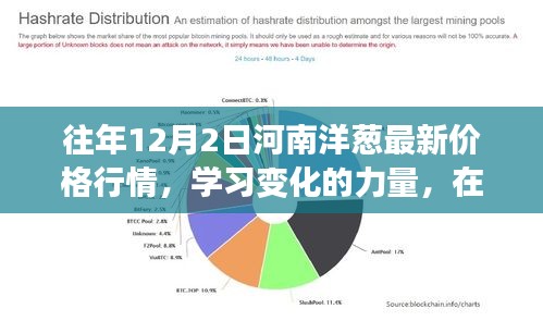 往年12月2日河南洋葱价格行情回顾，学习变化的力量，探寻自信与成就感之路