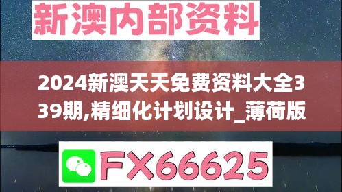 2024新澳天天免费资料大全339期,精细化计划设计_薄荷版6.656-3