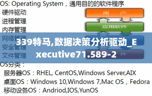 339特马,数据决策分析驱动_Executive71.589-2