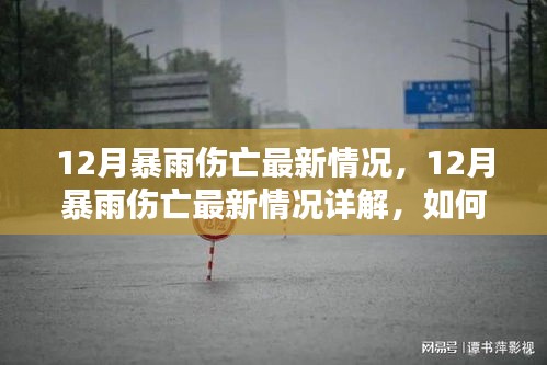 12月暴雨伤亡最新情况及应对策略详解