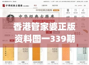 香港管家婆正版资料图一339期,适用性策略设计_经典版39.451-3