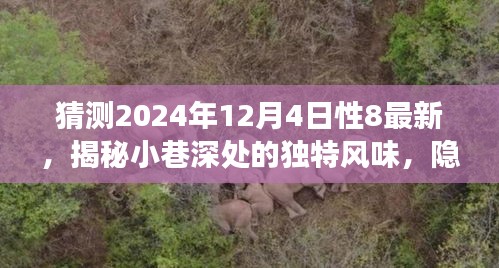 揭秘小巷深处的独特风味，探索之旅揭秘2024年特色小店