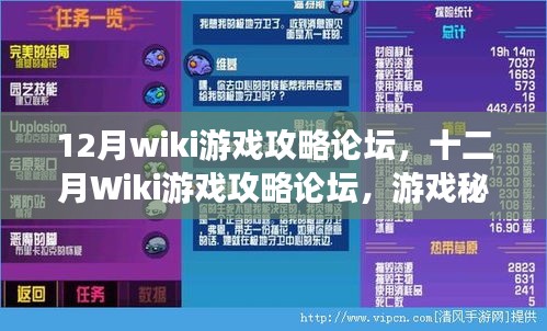 十二月Wiki游戏攻略论坛，秘籍与策略大解密