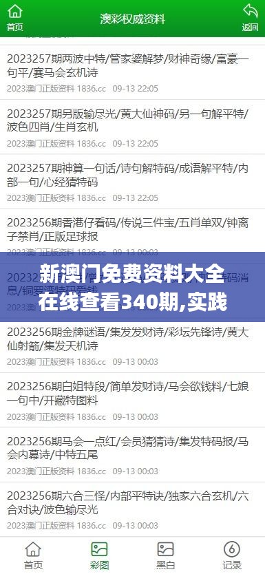 新澳门免费资料大全在线查看340期,实践经验解释定义_Windows174.827-6