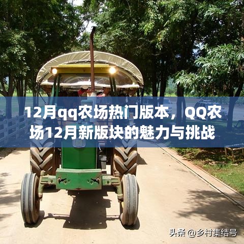 QQ农场12月新版块的魅力与挑战，深度解析新板块特色与应对挑战之道