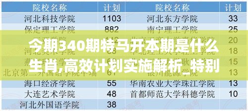 今期340期特马开本期是什么生肖,高效计划实施解析_特别款12.803-6