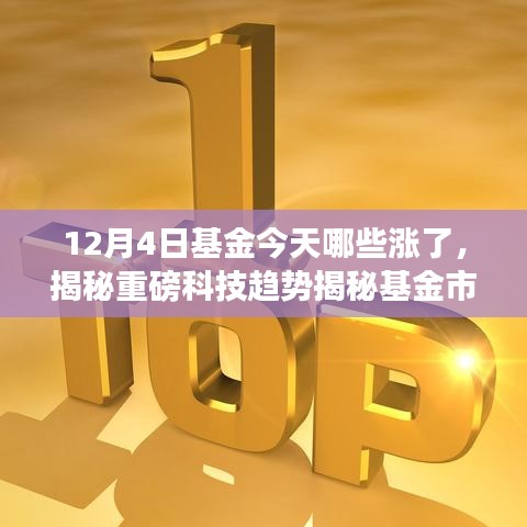 12月4日基金今天哪些涨了，揭秘重磅科技趋势揭秘基金市场风云变幻，揭秘哪些基金在今日12月4日大放异彩，引领科技浪潮下的投资新体验！