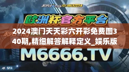 2024澳门天天彩六开彩免费图340期,精细解答解释定义_娱乐版41.170-4