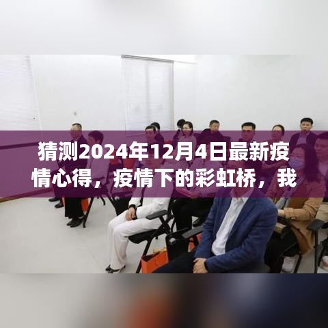 疫情下的彩虹桥，心灵之旅与最新疫情心得分享（2024年12月4日）