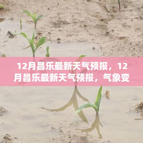 昌乐12月最新天气预报，气象变化早知道，生活出行无忧