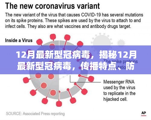 揭秘，最新型冠病毒传播特点、防控要点与科学认知解析