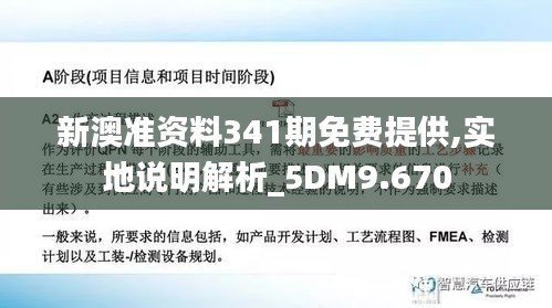 新澳准资料341期免费提供,实地说明解析_5DM9.670