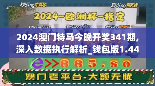 2024澳门特马今晚开奖341期,深入数据执行解析_钱包版1.446