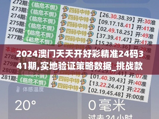 2024澳门天天开好彩精准24码341期,实地验证策略数据_挑战款18.976