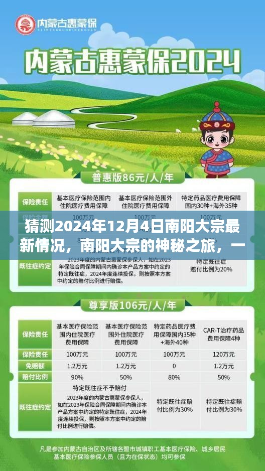 南阳大宗未来展望，2024年12月4日的神秘之旅与未来之约的温馨猜想