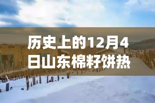 山东小镇的棉籽饼情缘，历史价格回顾与温馨故事