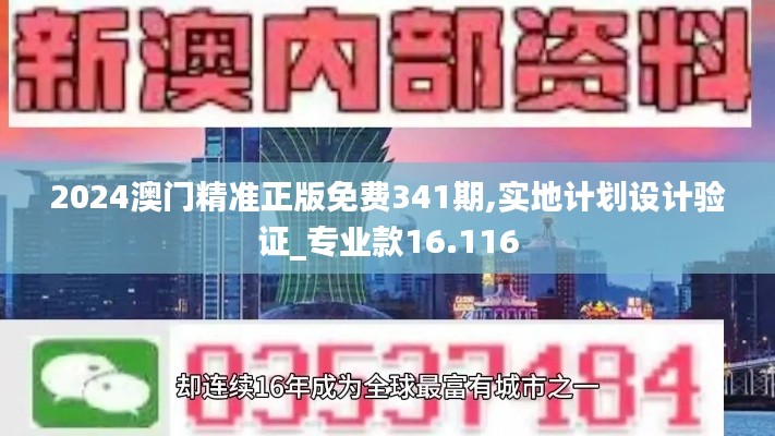 2024澳门精准正版免费341期,实地计划设计验证_专业款16.116