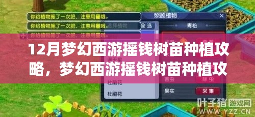 梦幻西游摇钱树苗种植攻略详解，产品特性、体验评测与深度剖析